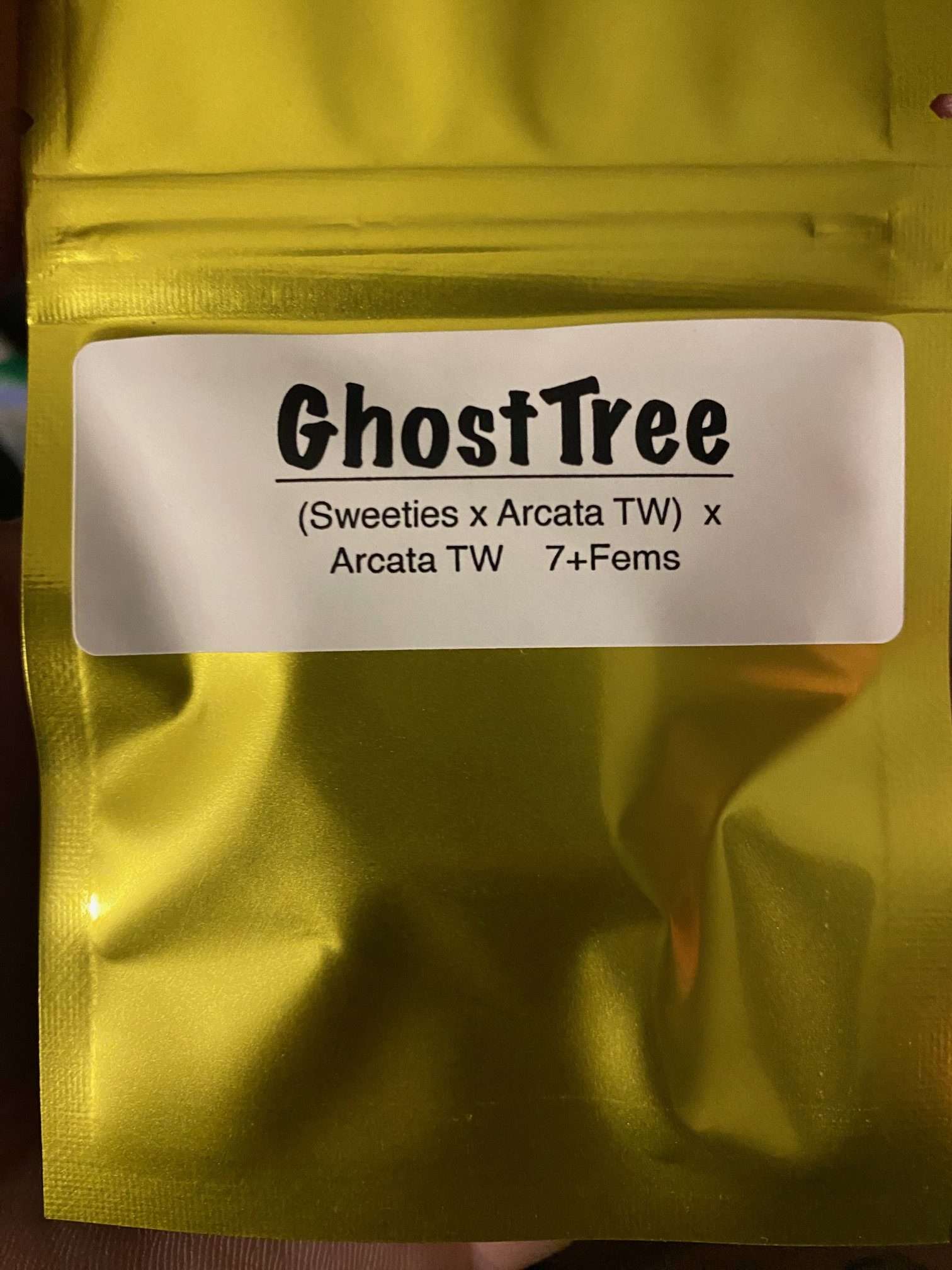 An image of Ghost Tree