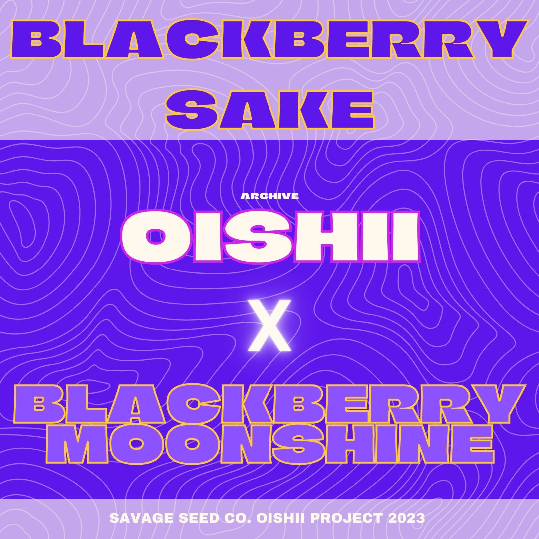 An image of Blackberry Sake