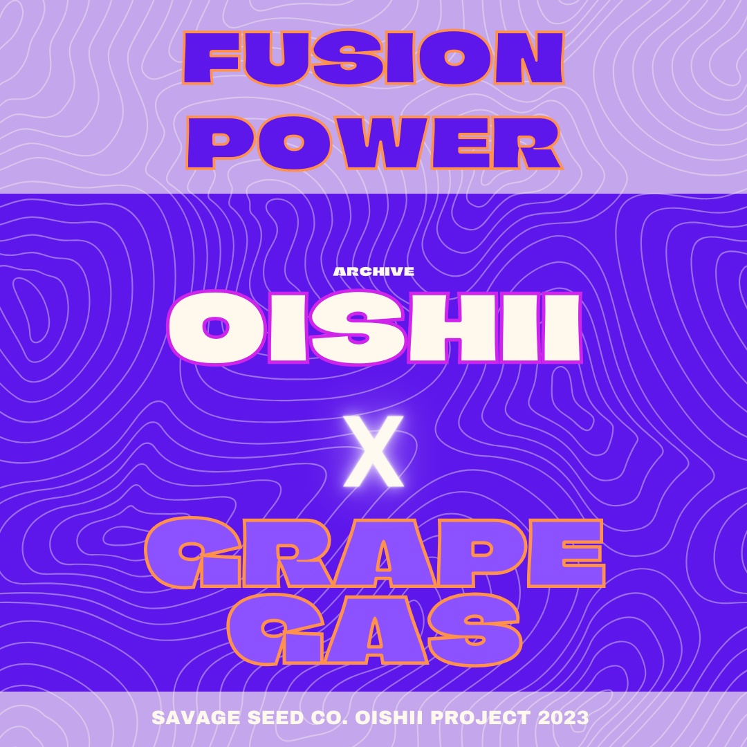 An image of Fusion Power