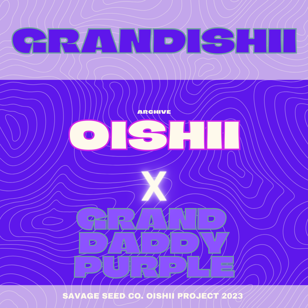 An image of Grandishii