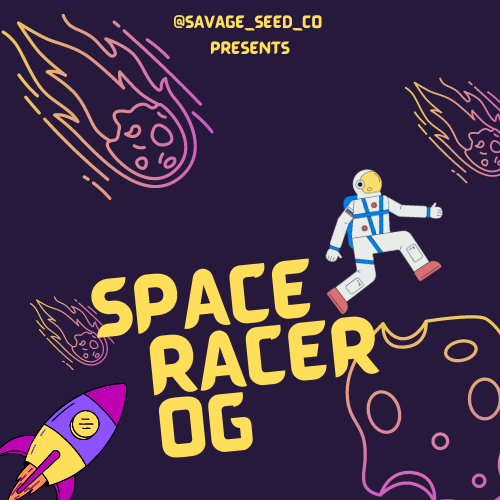 An image of Space Racer