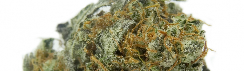 An image of Death Bubba