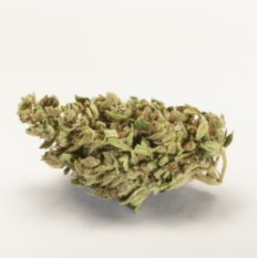 An image of Zardde Gold