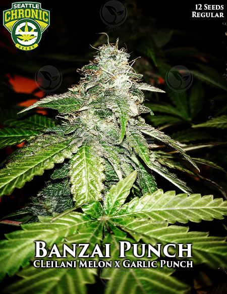 An image of Banzai Punch