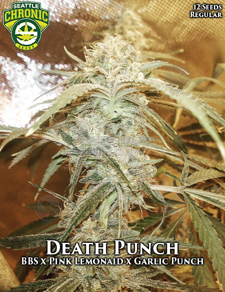 An image of Death Punch