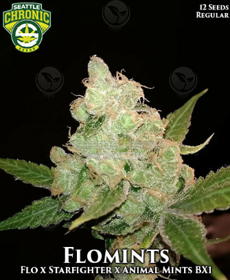 An image of Flomints