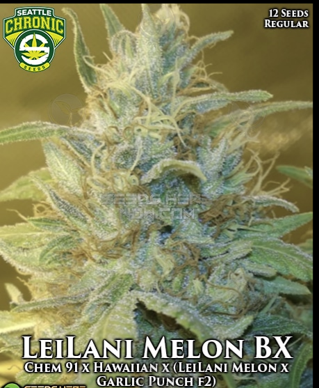 An image of LeiLani Melon BX
