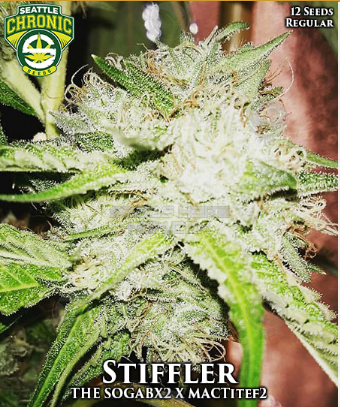 An image of Stiffler