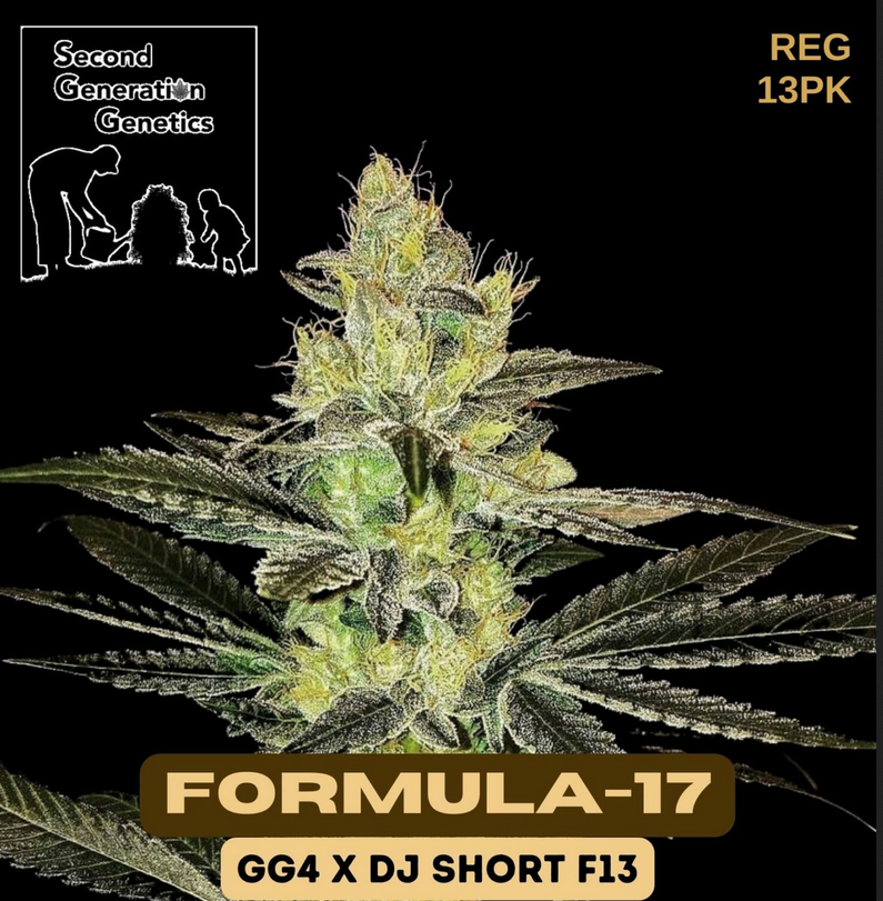 An image of Formula-17