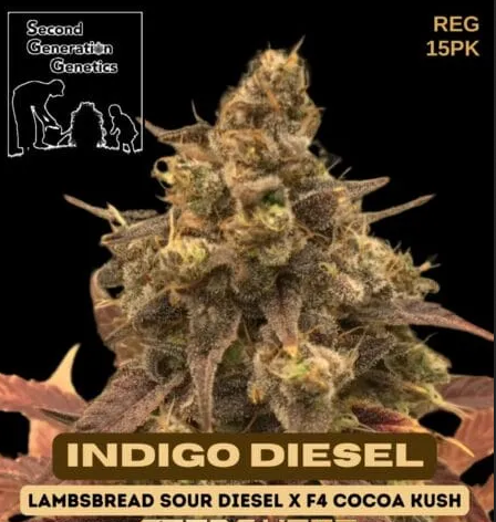 An image of Indigo Diesel