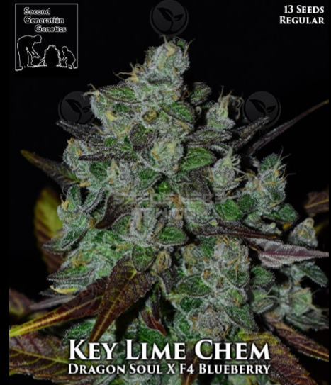 An image of Key Lime Chem