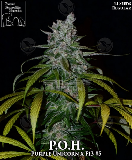 An image of P.O.H.