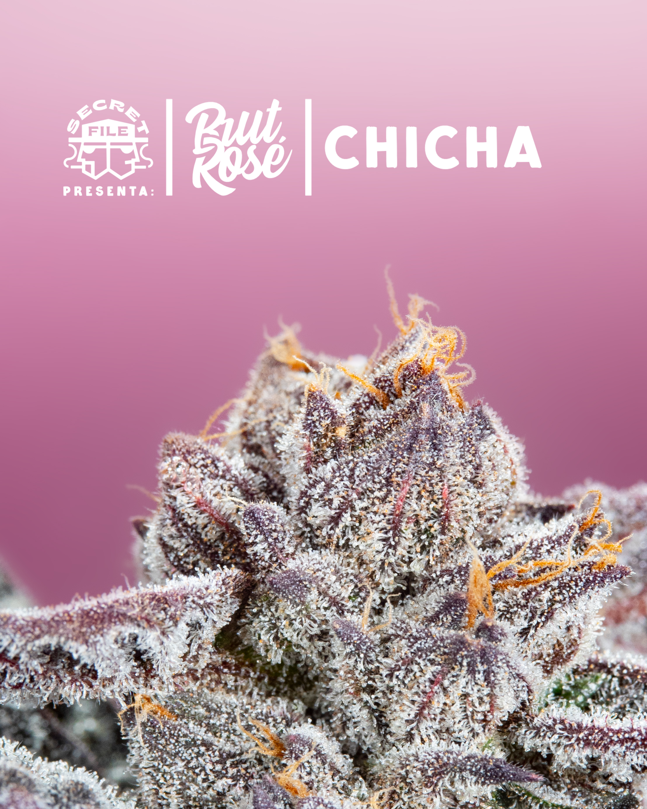 An image of Chicha