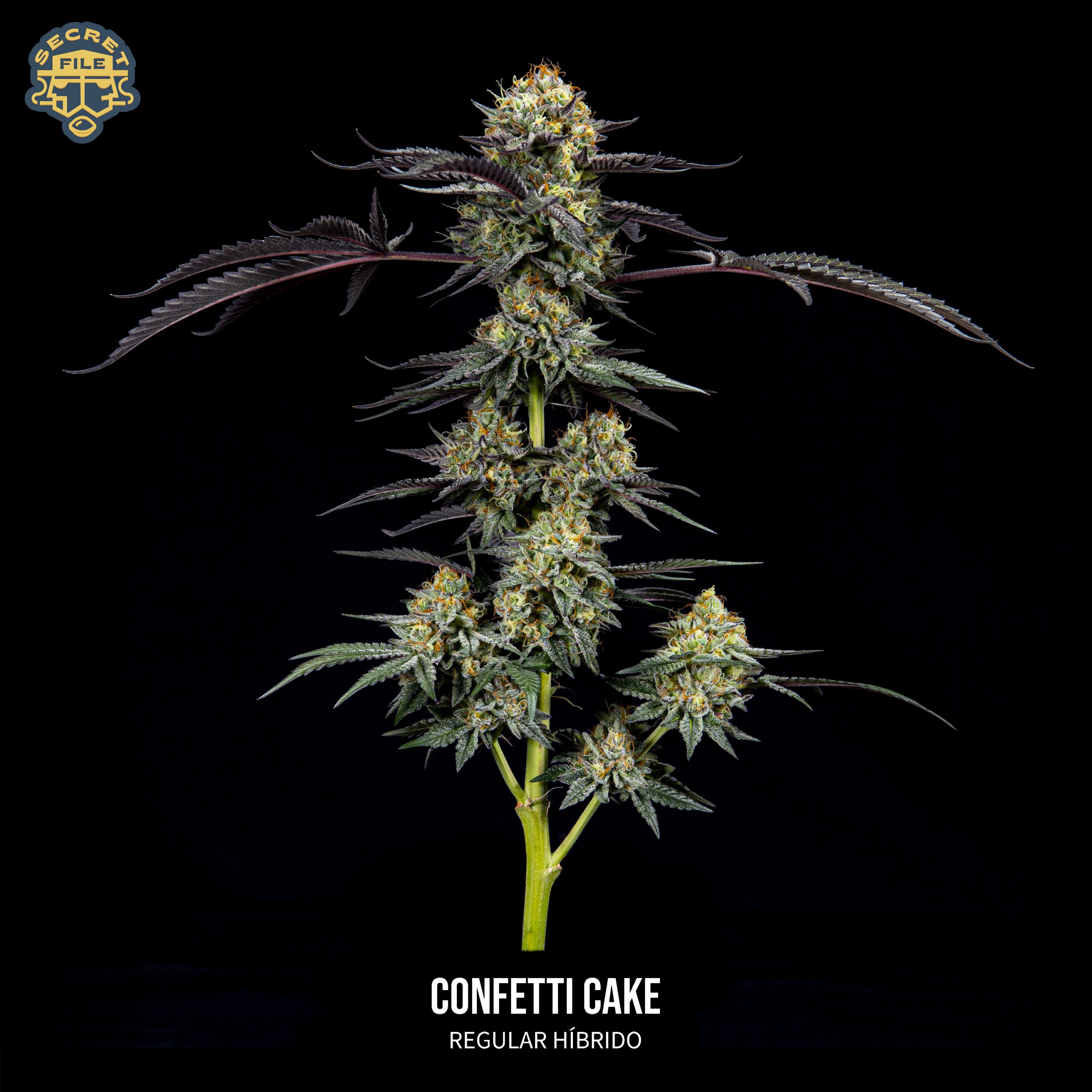 An image of Confetti Cake
