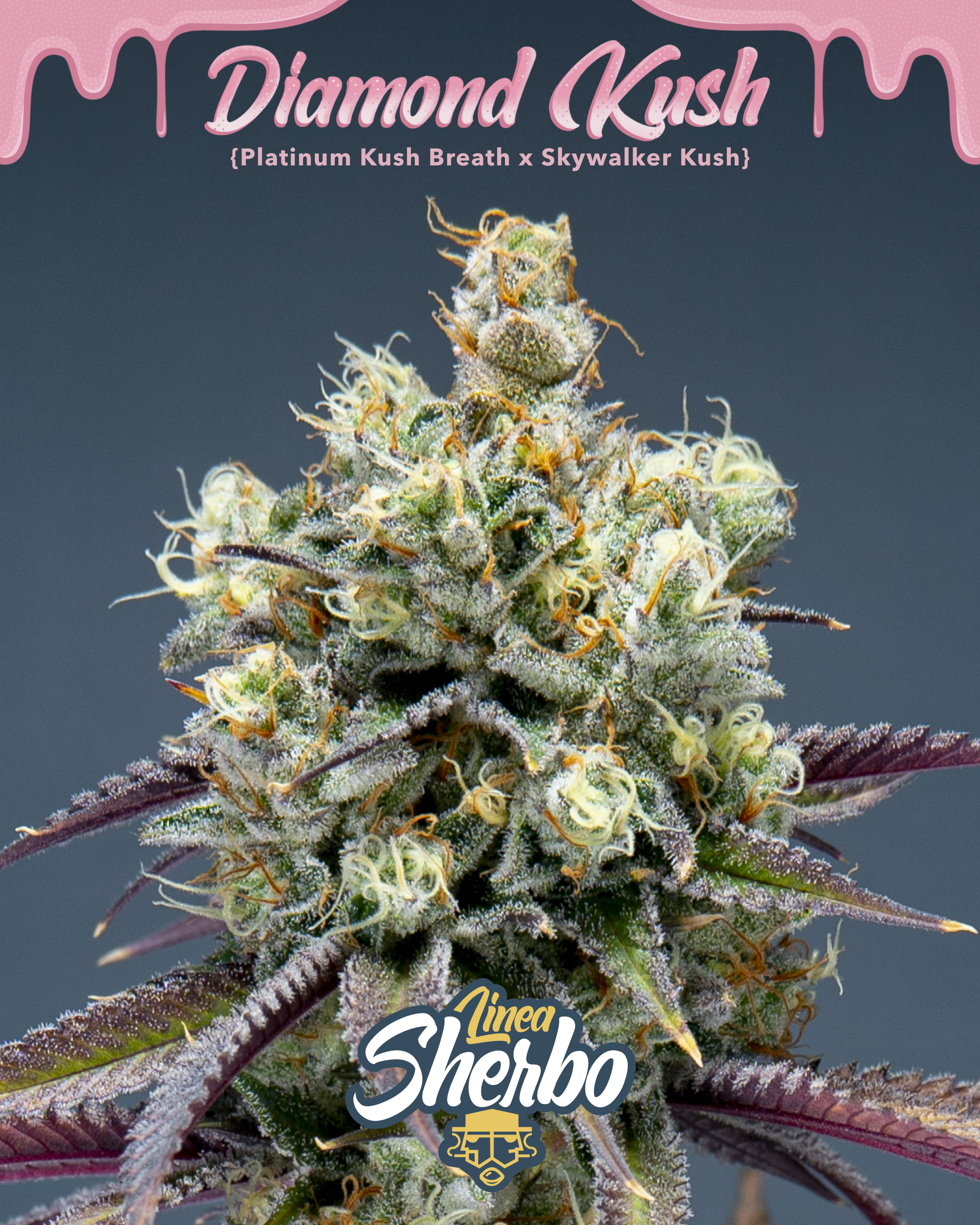 An image of Diamond Kush Linea Sherbo
