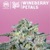 An image of Wineberry Petals