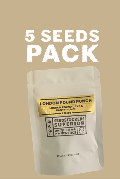 An image of London Pound Punch