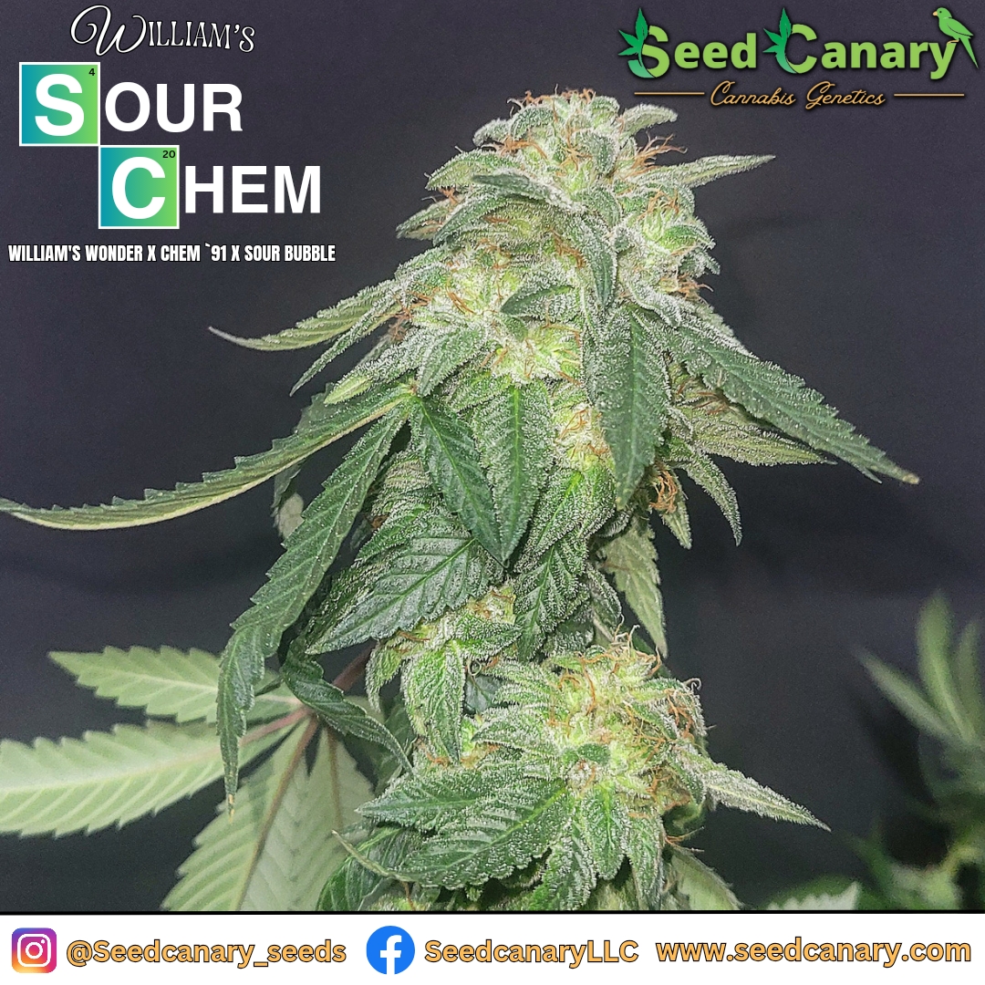 An image of William's Sour Chem