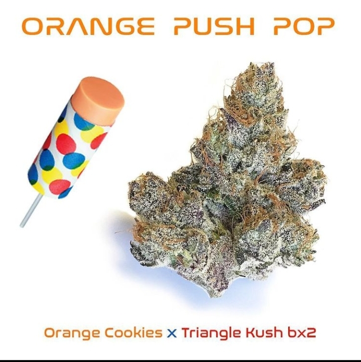 An image of Orange Push Pop