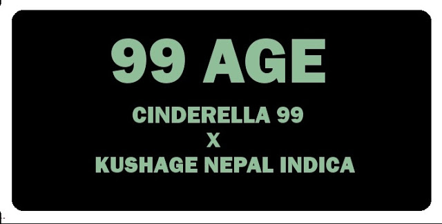 An image of AGE99