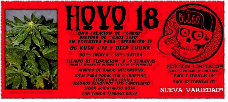 An image of Hoyo 18