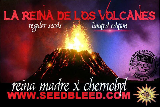An image of La Reina de los Volcanes