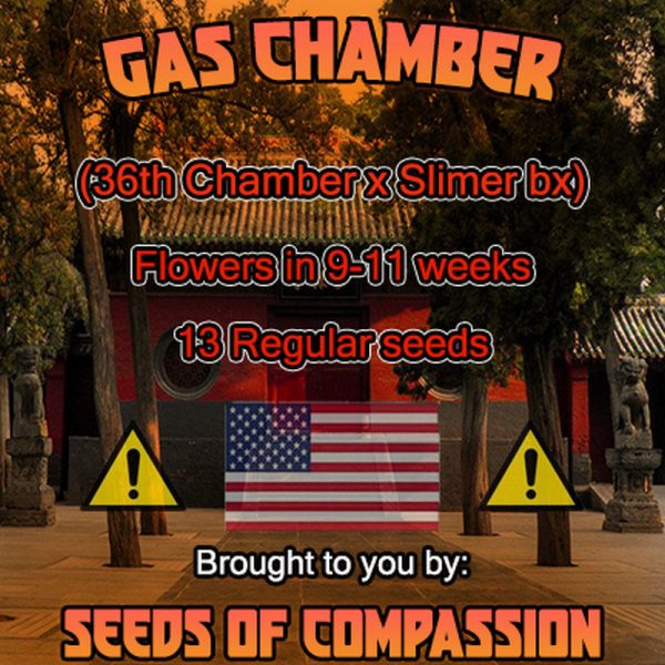 An image of Gas Chamber