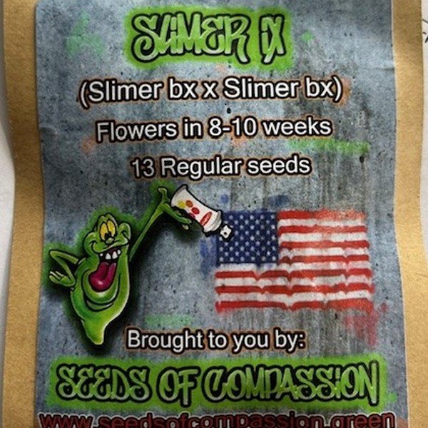 An image of Slimer iX