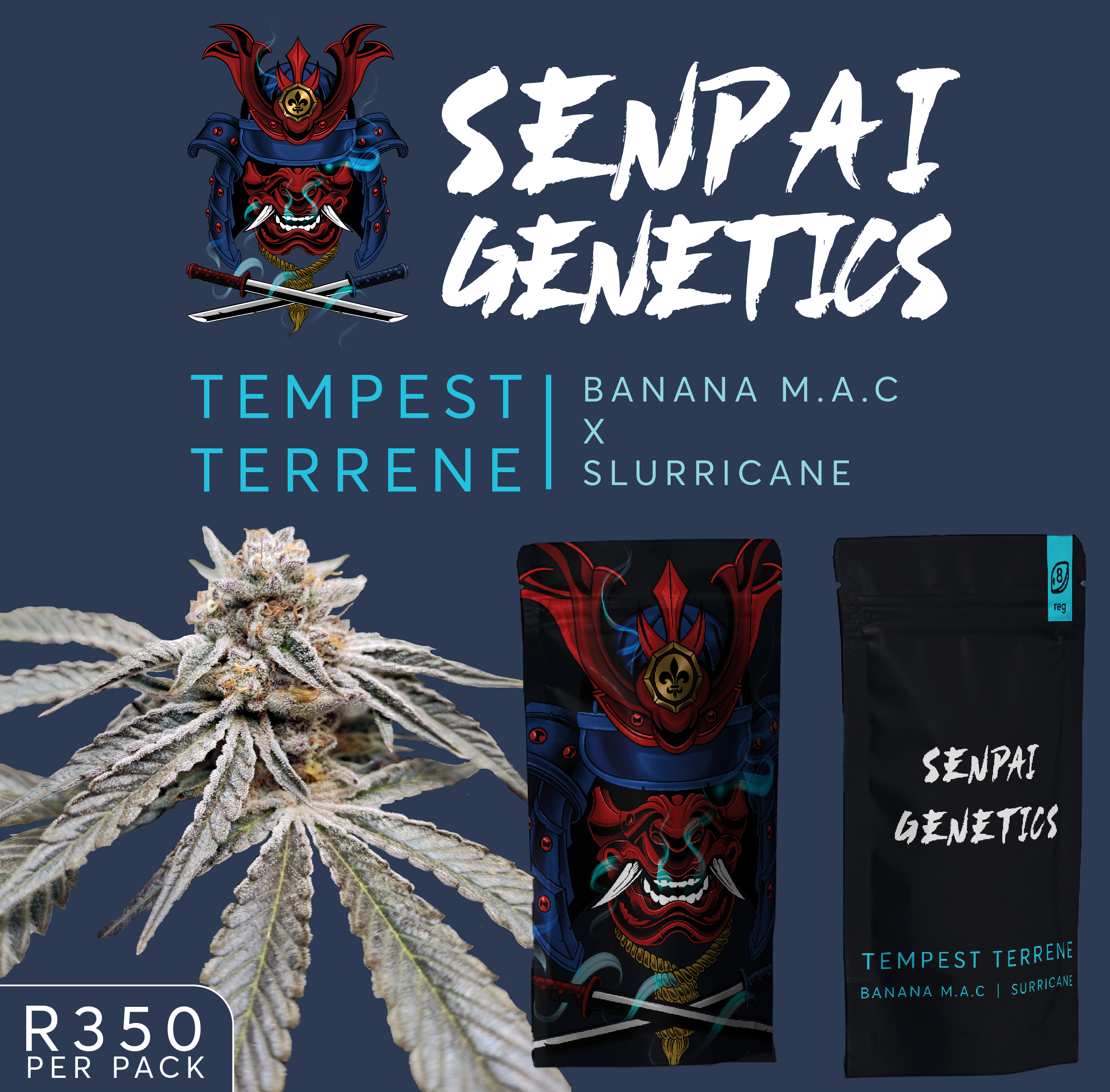 An image of Tempest Terrene