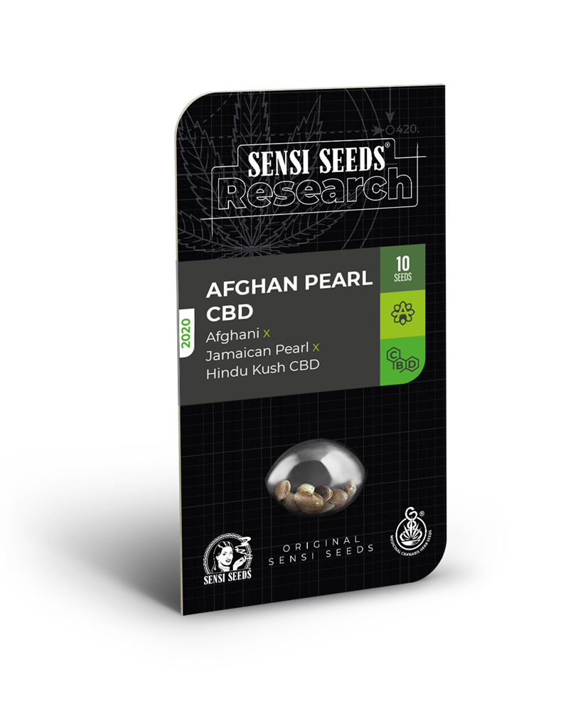An image of Afghan Pearl CBD Automatic