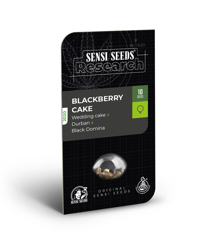 An image of Blackberry Cake