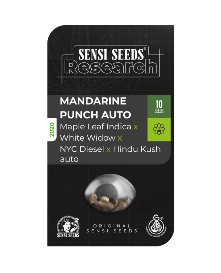 An image of Mandarine Punch Automatic