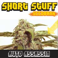 An image of Auto Assassin