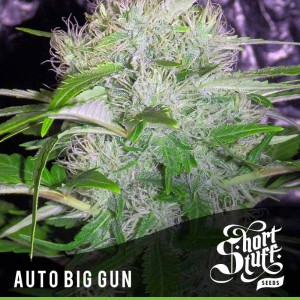 An image of Auto Big Gun