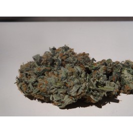 An image of Intimidator OG