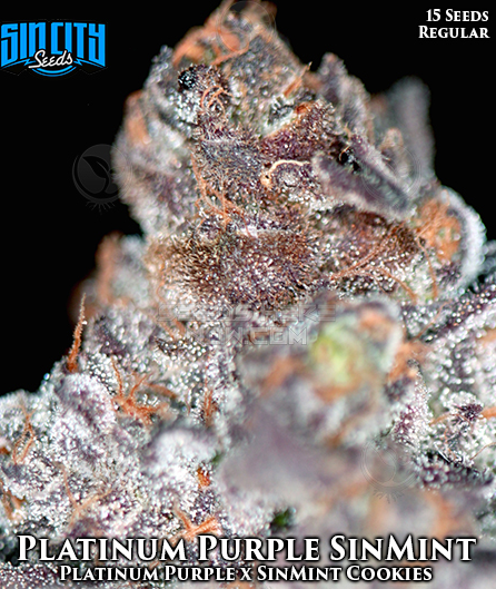 An image of Platinum Purple SinMint
