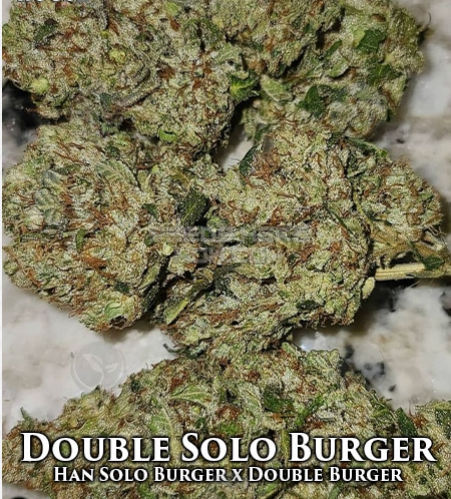 An image of Double Solo Burger