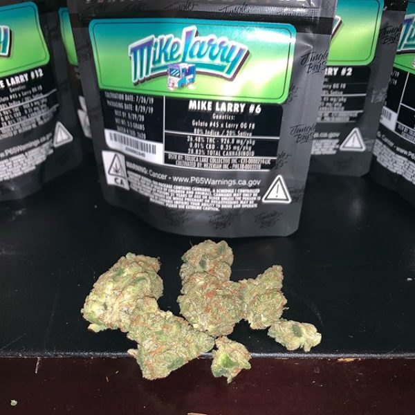 An image of Mike Larry