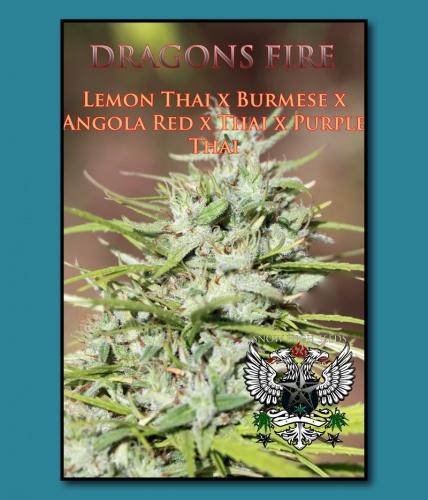 An image of Dragons Fire