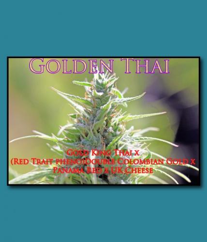 An image of Golden Thai