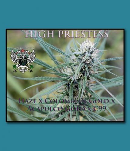 An image of High Priestess