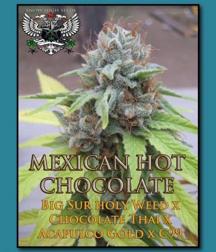 An image of Mexican Hot Chocolate