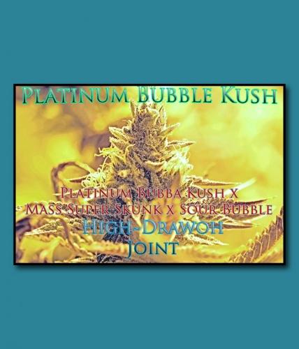 An image of Platinum Bubble Kush