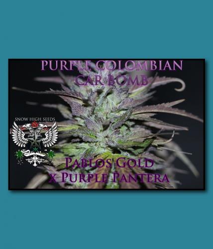 An image of Purple Colombian Car Bomb