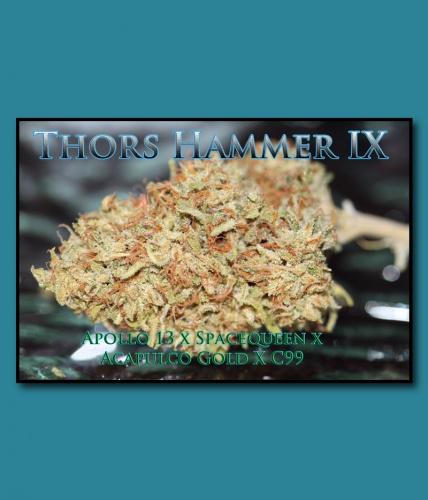 An image of Thors Hammer IX