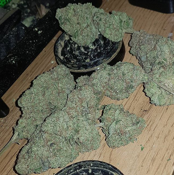 An image of Tahoe Biker OG