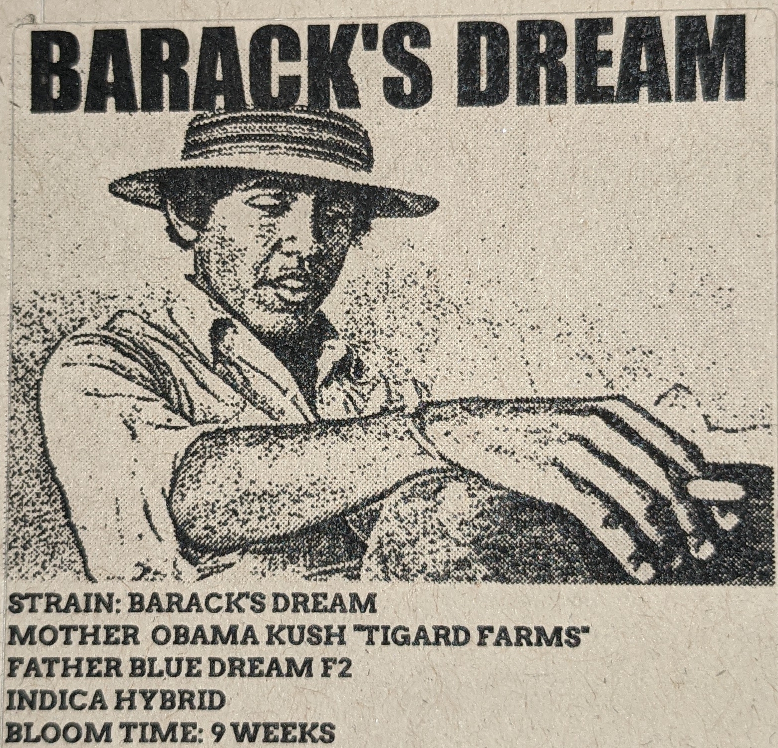 An image of Baracks Dream