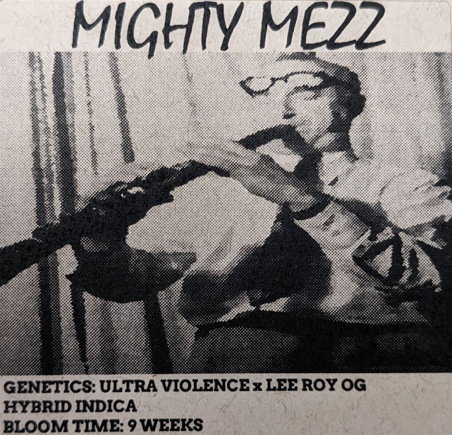 An image of Mighty Mezz
