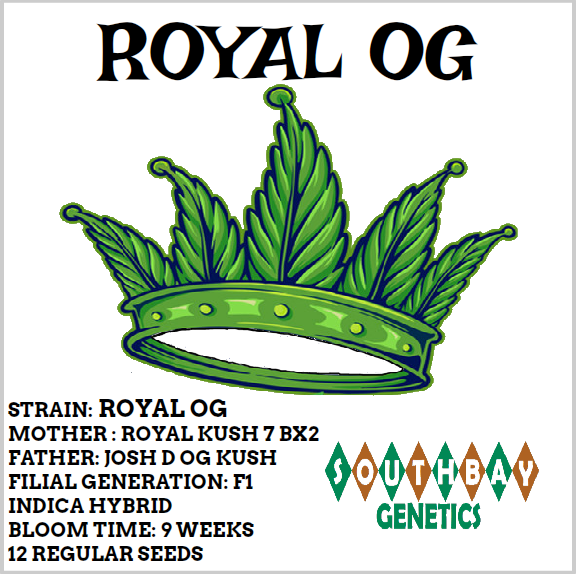 An image of Royal OG