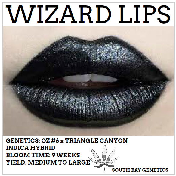 An image of Wizard Lips